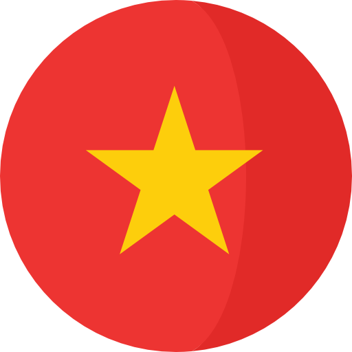 vn